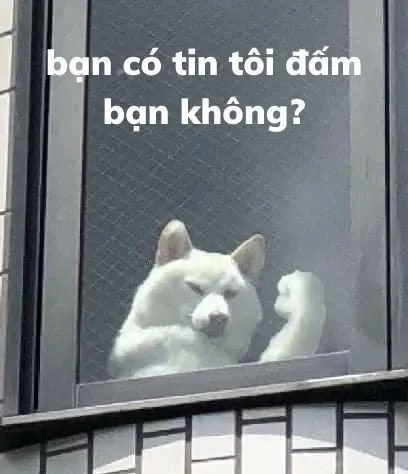 Doge coin meme đầy sáng tạo, hài hước và bất ngờ.