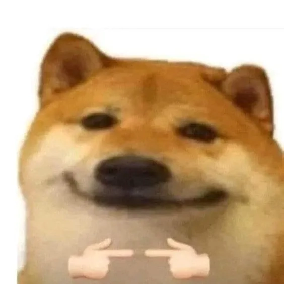 Hình doge meme siêu ngộ nghĩnh, ai cũng yêu thích.