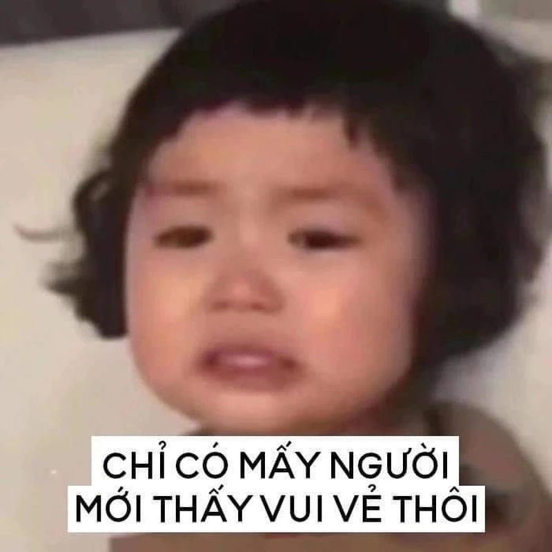 Chú mèo cute dỗi này không thể không yêu, quá đáng yêu!