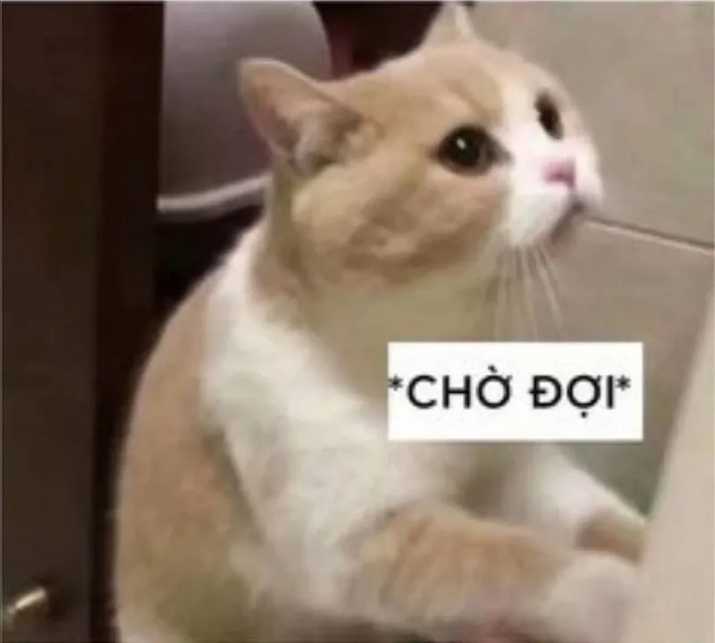 Đặt haha meme face vào cuộc trò chuyện, đảm bảo sẽ khiến mọi người bật cười!