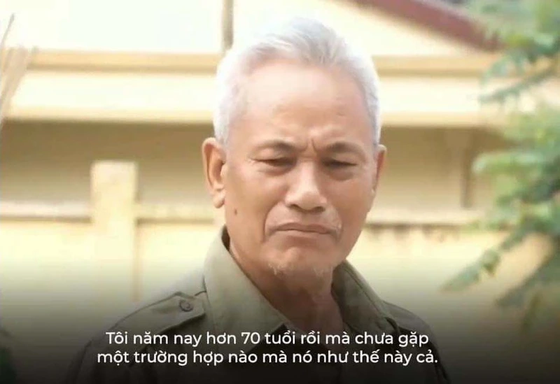 Meme mèo hết cứu cực kỳ dễ thương, nhưng không cứu nổi!