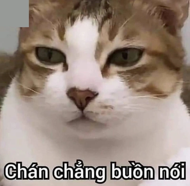 Meme bộ xương hết cứu này chắc chắn sẽ khiến bạn ngỡ ngàng!