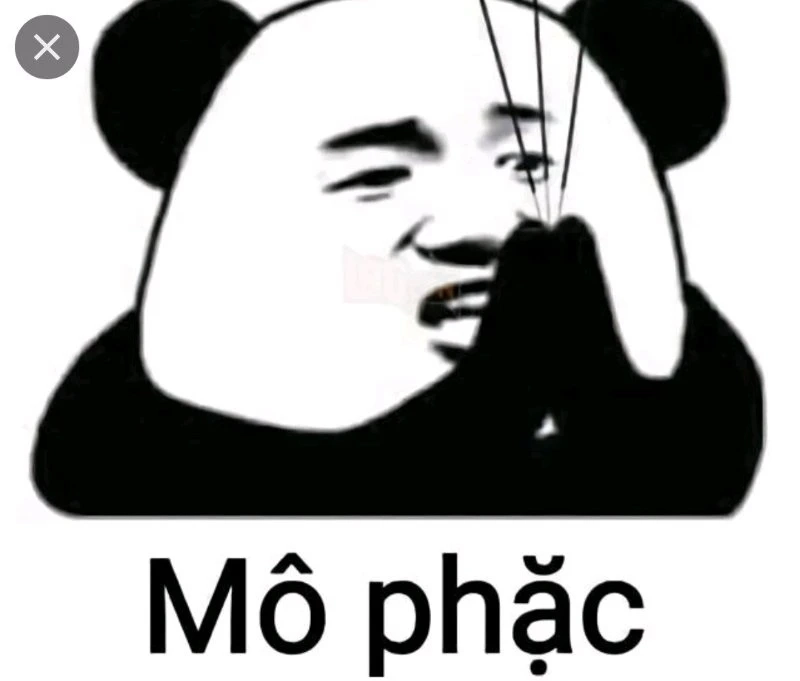 Meme xe cấp cứu này chắc chắn sẽ cứu bạn khỏi cơn buồn ngủ!