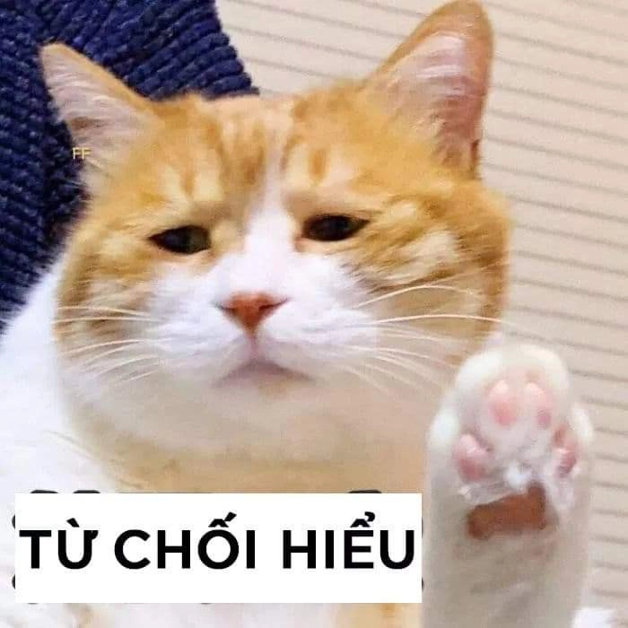 Nguồn gốc meme hết cứu này tạo nên cơn sốt trên mạng xã hội!