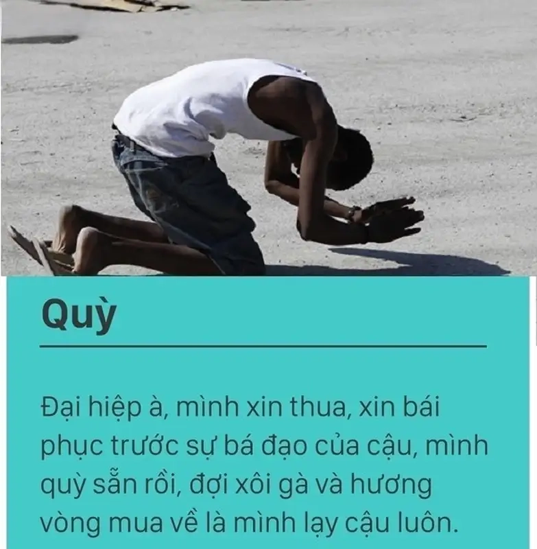 Những bức ảnh quỳ lạy meme ấn tượng sẽ khiến bạn phải suy ngẫm.