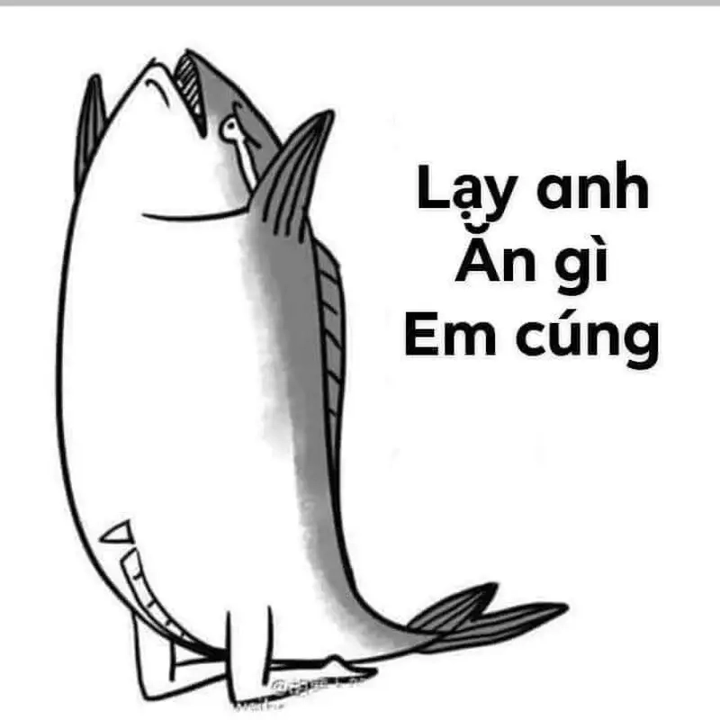 Những bức ảnh meme quỳ lạy sẽ khiến bạn cười ngặt nghẽo.