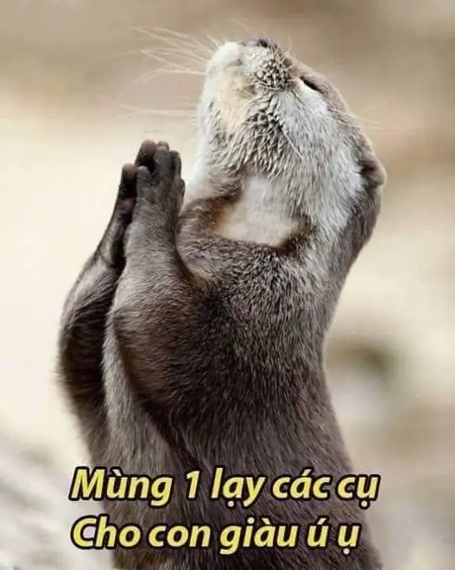 Meme lạy chúa trên cao đem lại cảm giác hài hước và tôn kính một cách độc đáo.