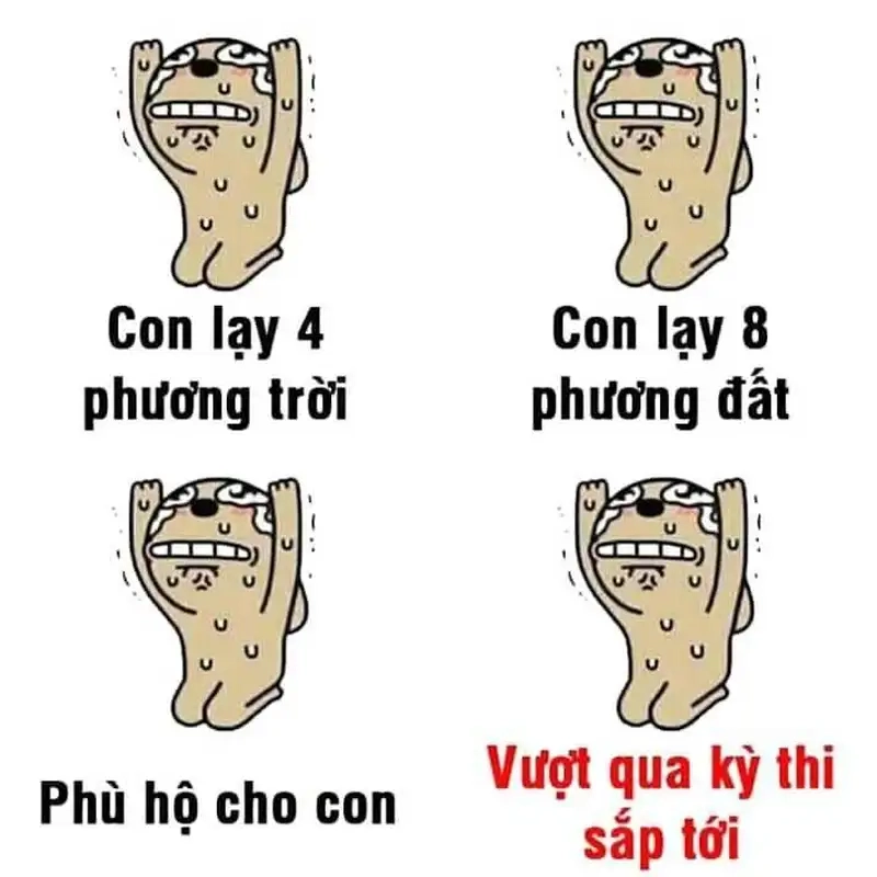 Meme quỳ thể hiện lòng kính trọng một cách vừa hài hước vừa chân thành.