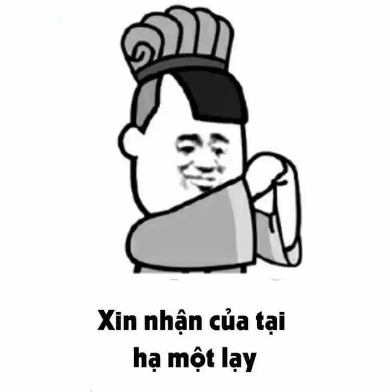 Quỳ xuống meme có thể tạo ra những khoảnh khắc đầy cảm xúc và ấm áp.