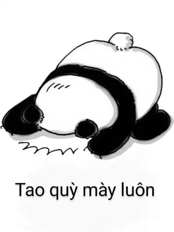 Meme chắp tay lạy mang lại sự thanh thoát và tôn kính đặc biệt.