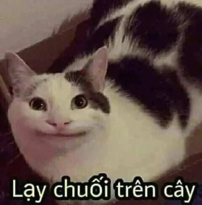 Meme chấp tay lạy có sức mạnh tạo ra sự kết nối giữa các thế hệ.