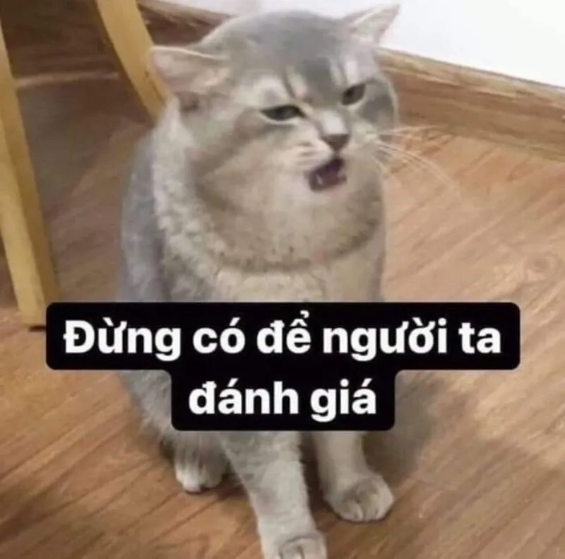 Meme mèo khóc che miệng cực kỳ dễ thương và hài hước.