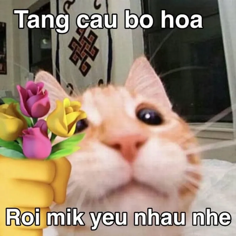 Meme về tình yêu giúp bạn thể hiện cảm xúc một cách ngọt ngào và lãng mạn!