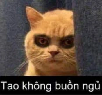 Mèo khóc meme không thể thiếu trong những khoảnh khắc cảm động.