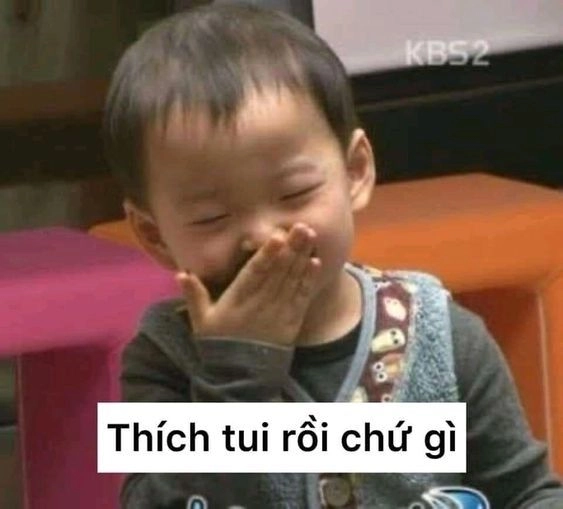 Khám phá biểu cảm độc đáo từ meme mèo cười ngại dễ thương.