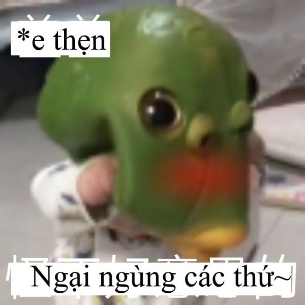 Cười không ngừng với meme xấu hổ đáng yêu.