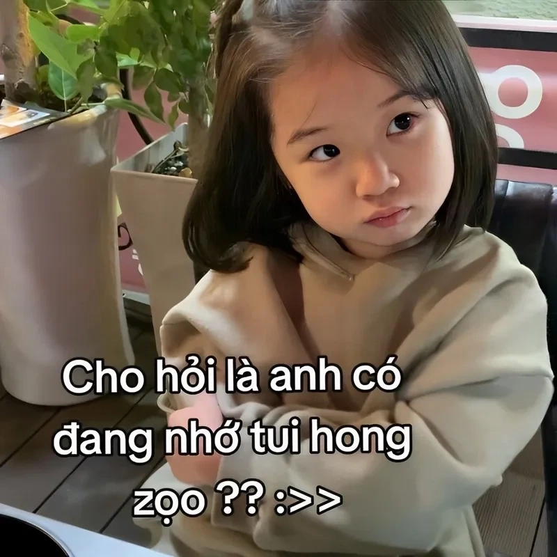 Mất trí nhớ meme giúp bạn tạo ra những khoảnh khắc hài hước và vui nhộn.