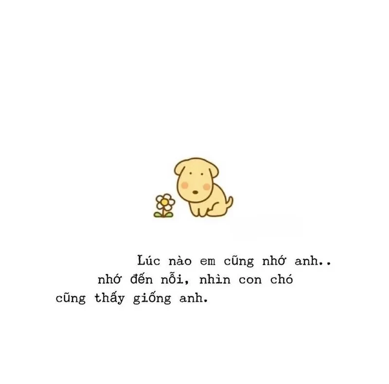 Meme em nhớ anh khiến bạn cảm thấy tình cảm càng thêm chân thành.