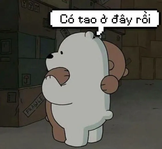 Khi bạn cảm thấy mệt mỏi, chỉ cần cần 1 cái ôm meme này là đủ!