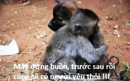 Meme bất ngờ ôm đầu chắc chắn sẽ mang lại tiếng cười ngay lập tức!