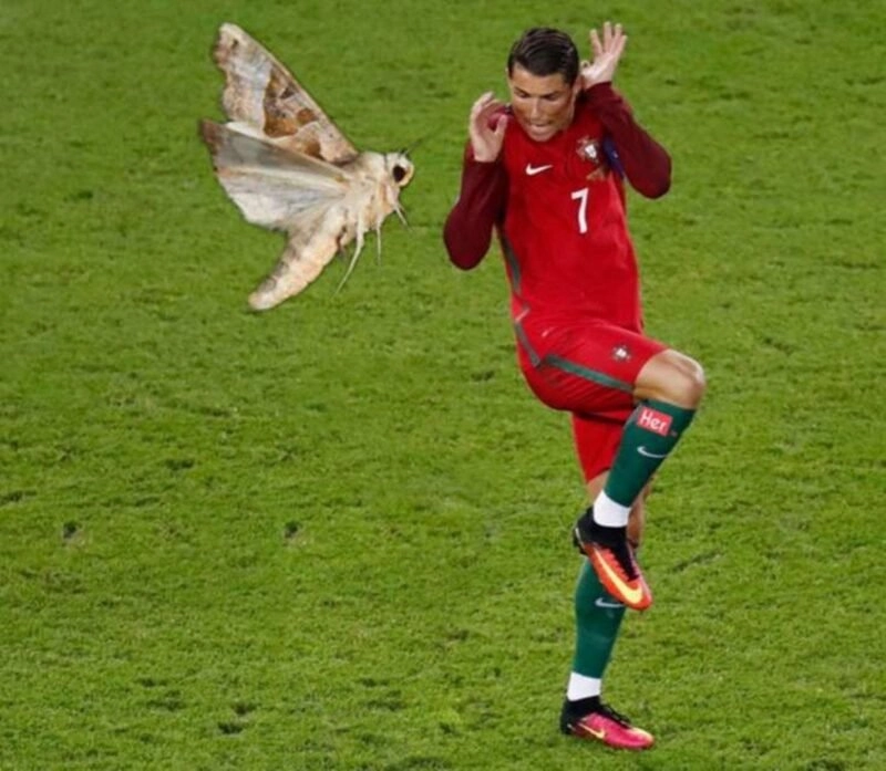 Meme ronaldo meme cry là hình ảnh không thể quên đối với người hâm mộ!