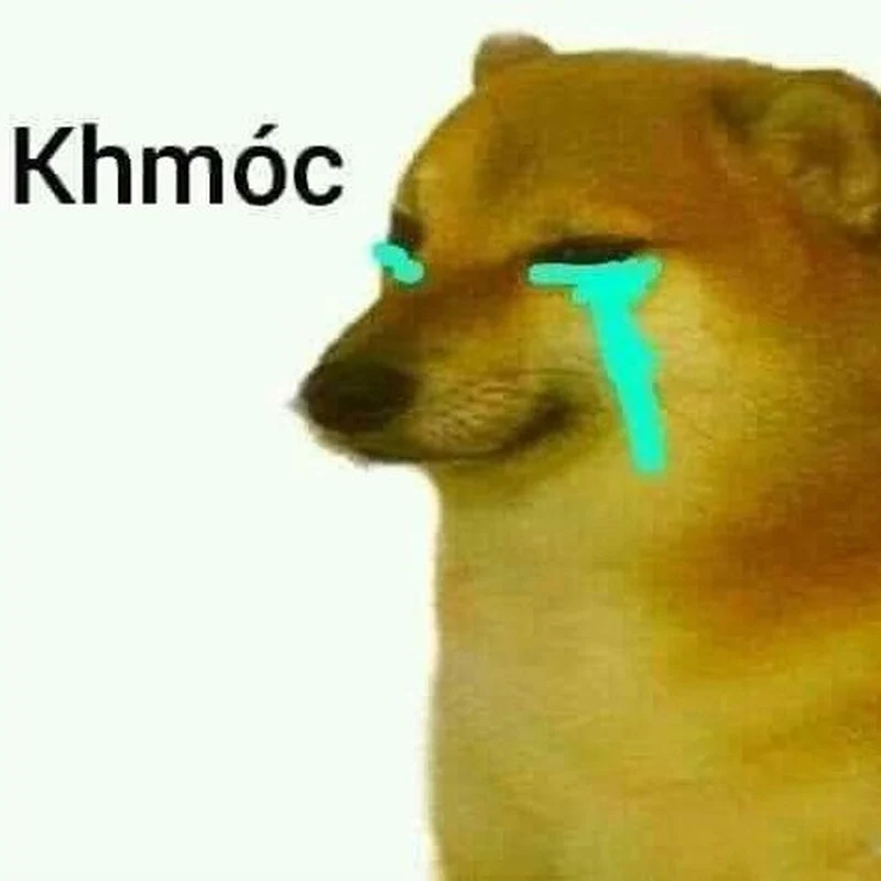 Xem meme cười thả sad, bạn sẽ không thể ngừng bật cười trước sự mâu thuẫn này.