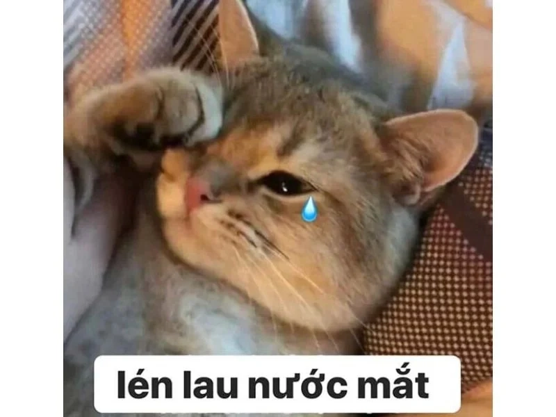 Ảnh sad boy meme mang lại cảm giác tiếc nuối trong từng biểu cảm của chàng trai.