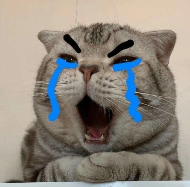 Sad mouse meme sẽ khiến bạn cảm thấy thương xót với những biểu cảm đầy buồn bã.