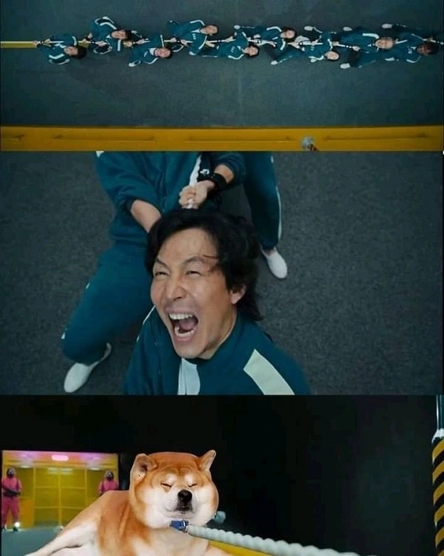 Meme con chó Shiba cực kỳ dễ thương, với những biểu cảm và tình huống hài hước khiến bạn cười không ngừng.