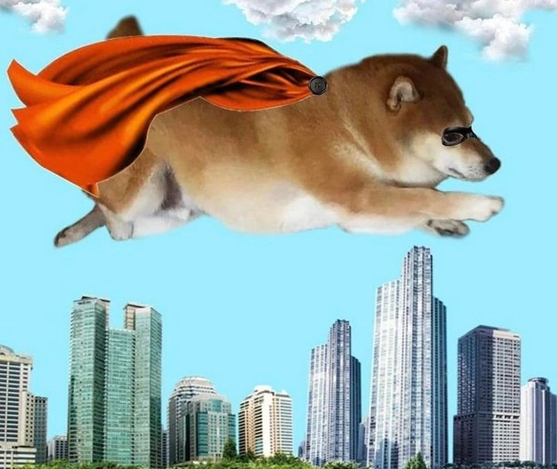 Cheems Shiba meme luôn là trào lưu nổi bật, tạo nên sự thú vị và sự kết hợp giữa Cheems và Shiba Inu.