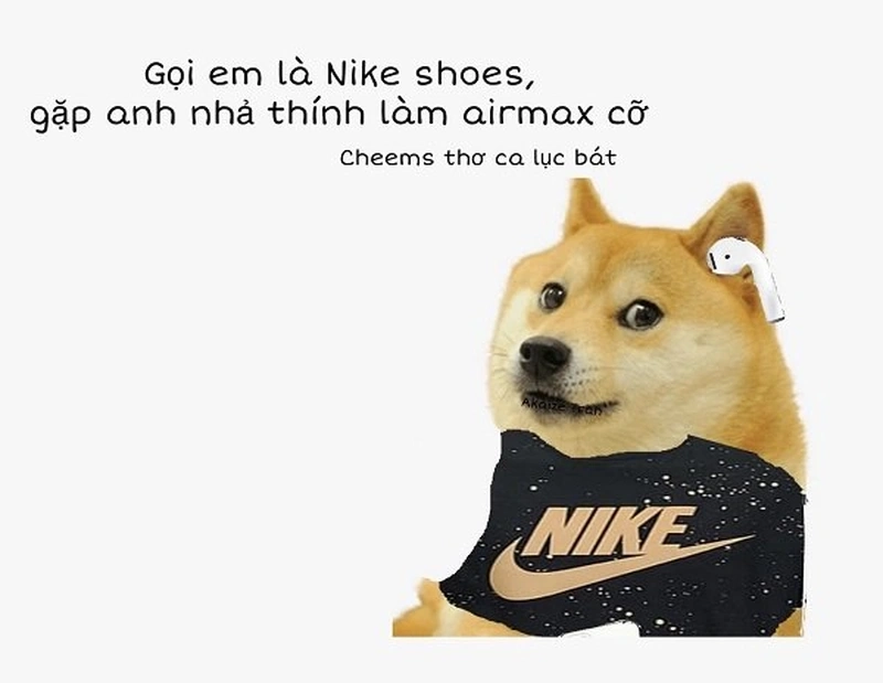 Dog meme Shiba cực kỳ nổi bật với những hình ảnh hài hước của chú chó Shiba Inu đáng yêu.