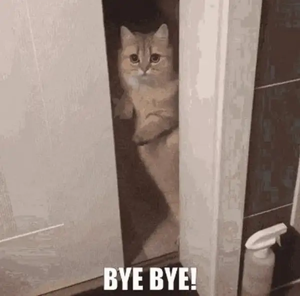 Say goodbye meme dễ thương và hài hước, tạm biệt theo cách ngọt ngào.