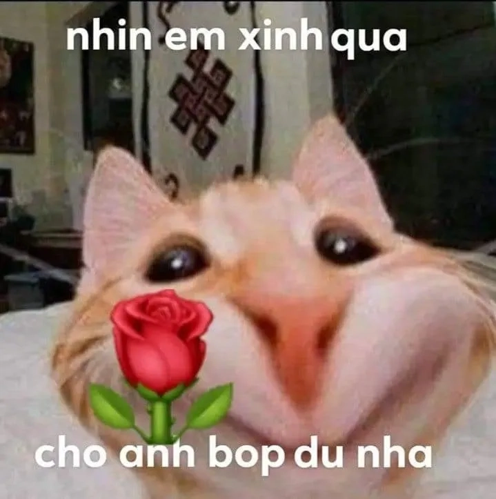 Meme chó tặng hoa, tình yêu ngọt ngào không thể thiếu.