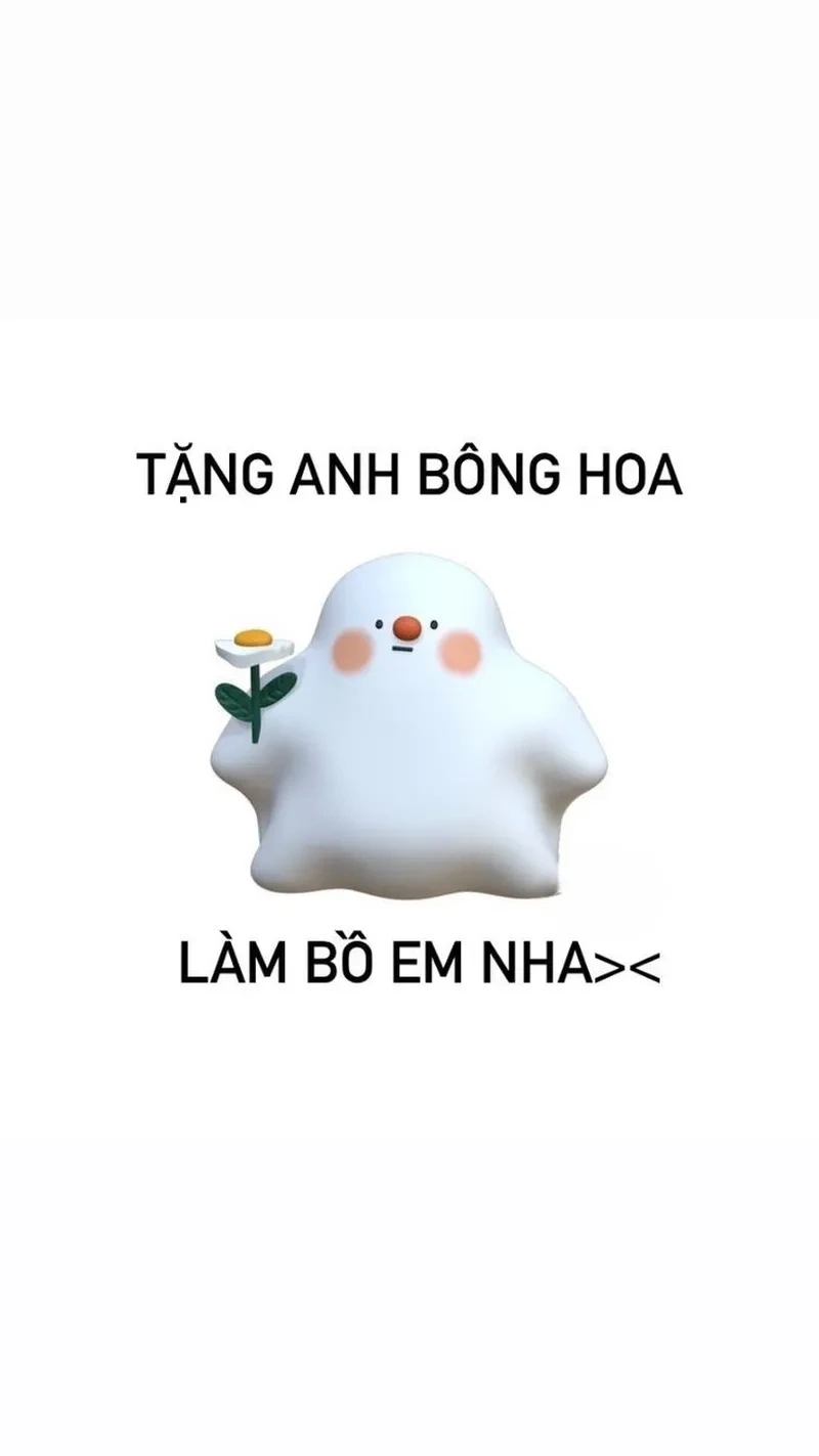 Meme mèo tặng hoa, món quà ngọt ngào gửi đến người yêu thương.