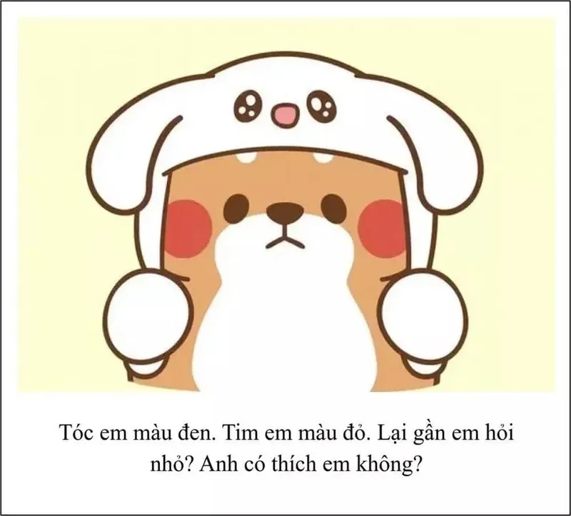 Meme mèo tặng hoa, là biểu tượng của tình yêu dễ thương và ngọt ngào!