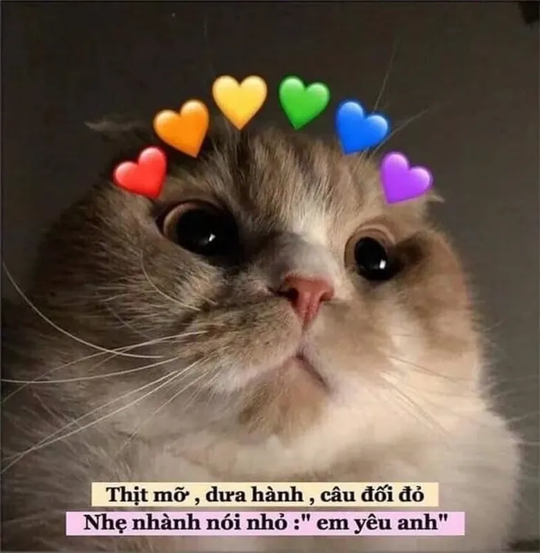 Meme tỏ tình crush hài hước, ngọt ngào và thú vị, dễ dàng chiếm trọn trái tim!