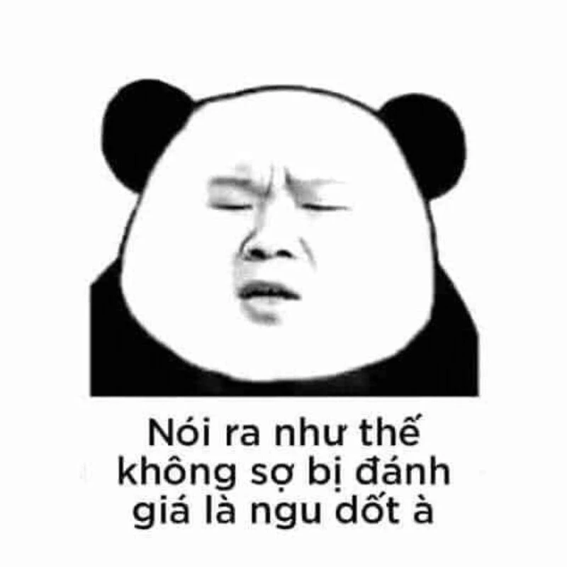 Gấu trúc meme Trung Quốc với những tình huống đáng yêu, dễ thương không thể bỏ qua.