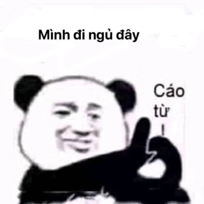 Meme con gấu trúc Trung Quốc mang đến những phút giây thư giãn đầy vui nhộn.