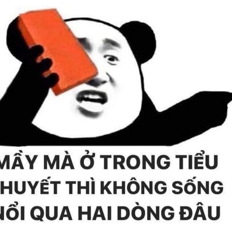 Meme phim Châu Tinh Trì gây cười với những pha hành động ngớ ngẩn.