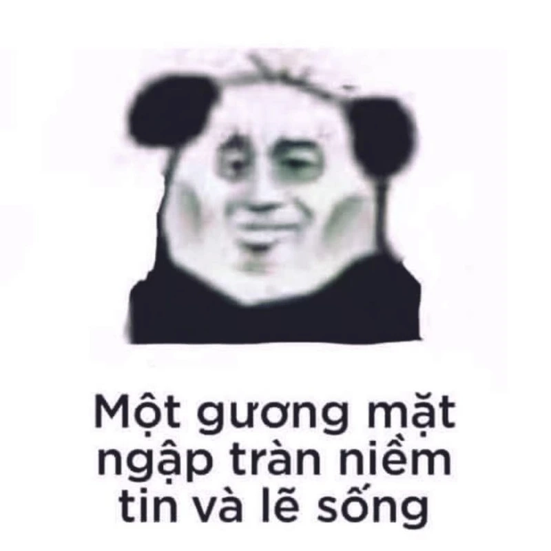 Meme rái cá Trung Quốc dễ thương, tạo ra những tình huống cười không ngừng.