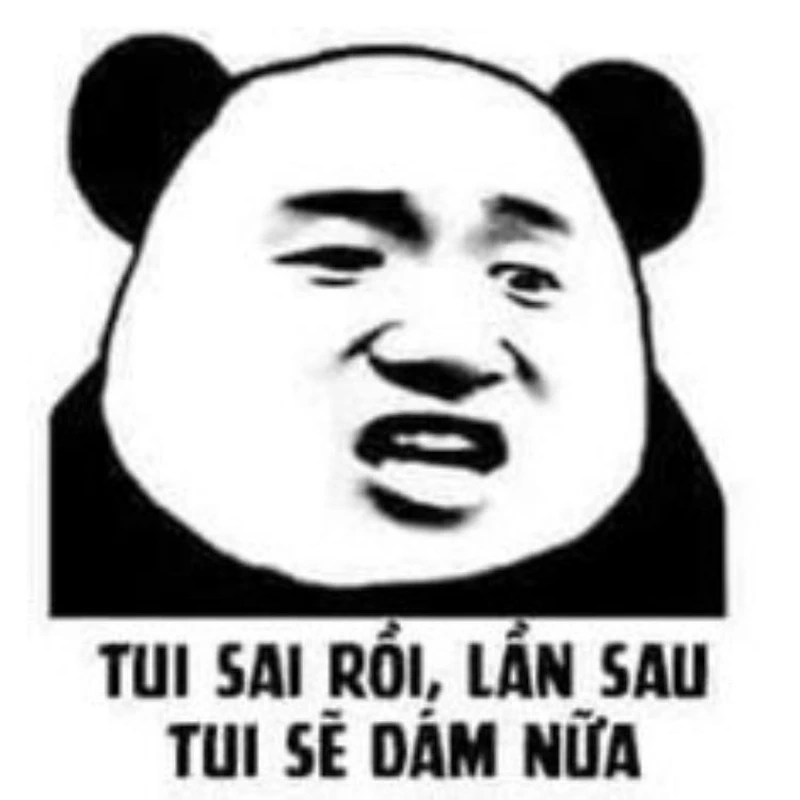 Meme panda Trung Quốc dễ thương và hài hước, bạn sẽ không thể nhịn cười.