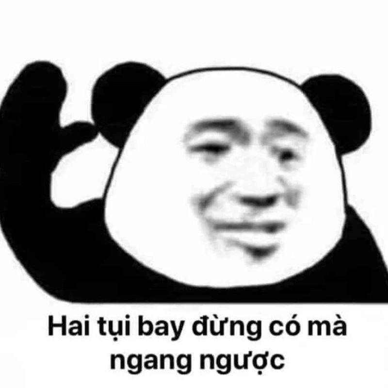 So cute meme mang đến những hình ảnh dễ thương, khiến bạn không thể rời mắt.