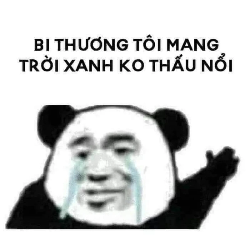 Meme bé gái Trung Quốc cực kỳ dễ thương, mang đến những khoảnh khắc đáng yêu.