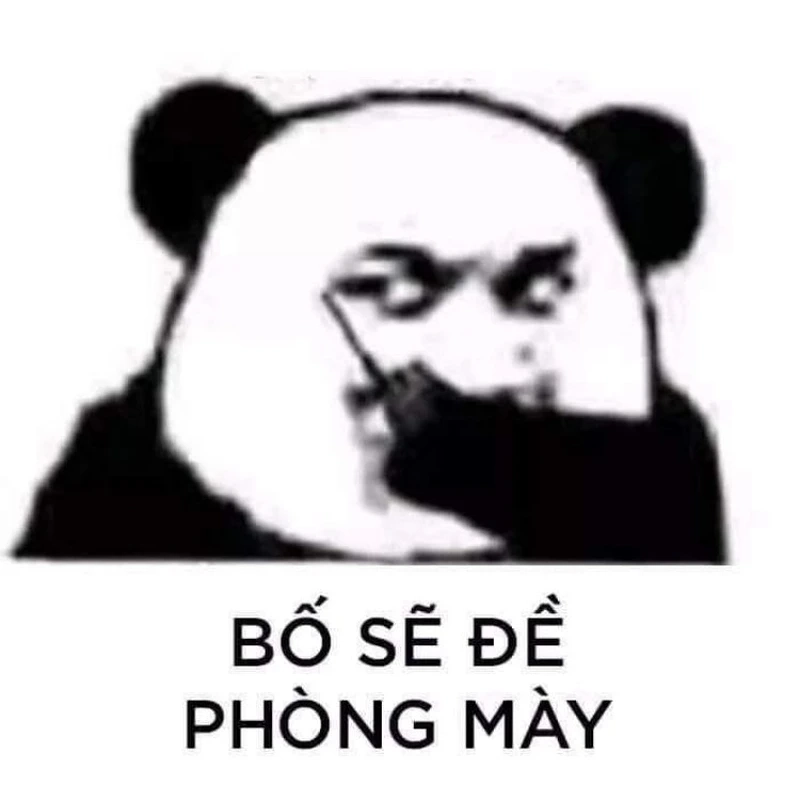 Meme mèo quạo cực kỳ dễ thương và hài hước, khiến bạn không thể ngừng cười.