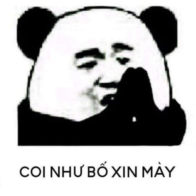 Meme gấu trúc khóc dễ thương và đầy xúc động, khiến bạn cảm thấy thương xót.