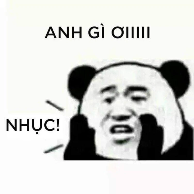 Meme xin lỗi mang đến những khoảnh khắc hài hước khi ai đó muốn chuộc lỗi.