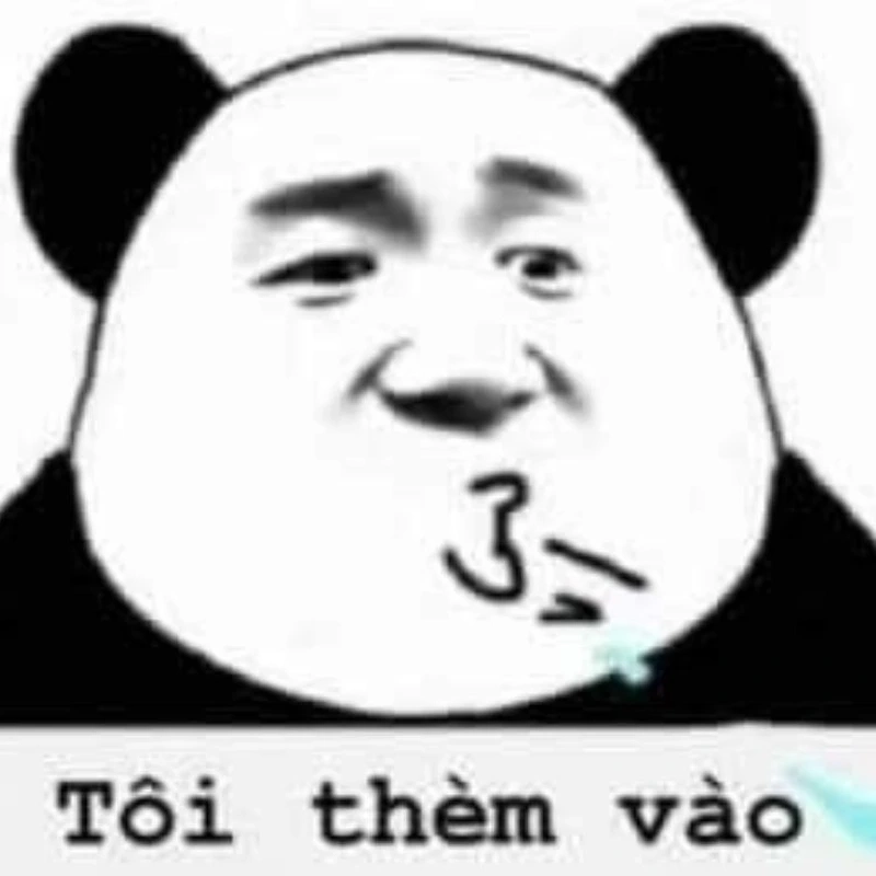 Meme mèo có chữ mang đến những câu nói hài hước khiến bạn bật cười.