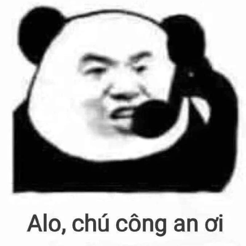 Hải ly hồng meme dễ thương và hài hước, tạo ra những khoảnh khắc vui nhộn.