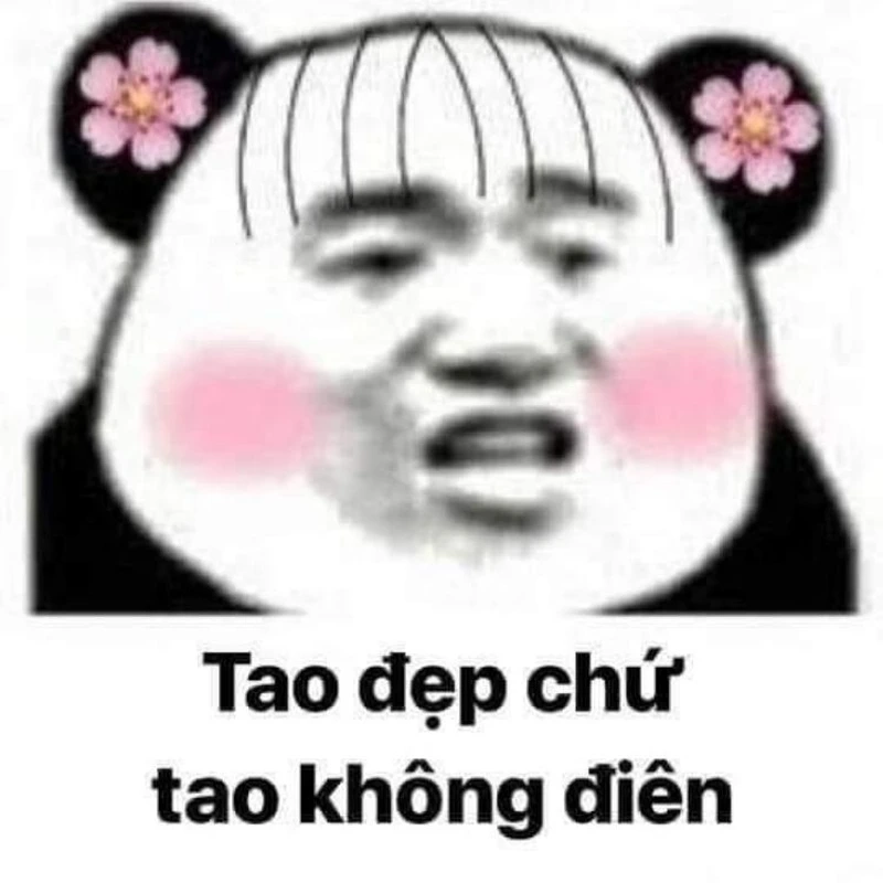 Meme hải ly loopy mang đến những khoảnh khắc vui nhộn, khó quên.