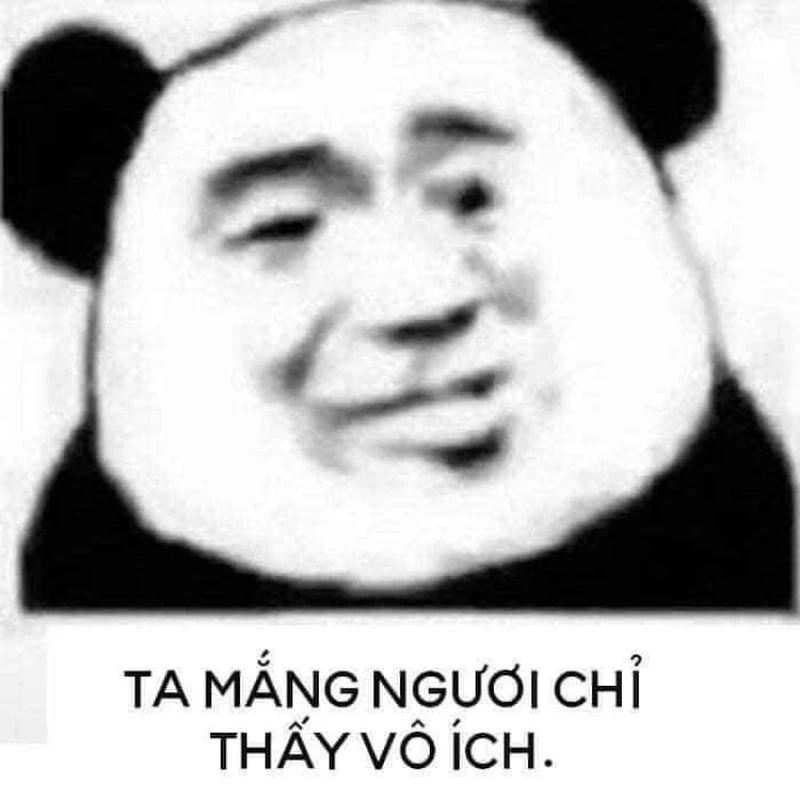 Hải ly Trung Quốc meme tạo ra những giây phút thư giãn và vui nhộn với các tình huống thú vị.